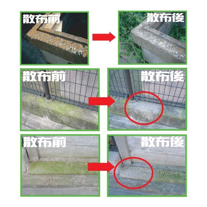 304円 送料込 アルタン 30セカンズ ワンステップスプレークリーナー1l コケ カビ 黒ずみの除去に 再発防止クリーナー