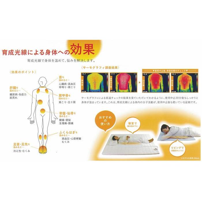 ポイント2倍付【予約販売・納期約1週間】遠赤王 遠赤外線 温熱マット