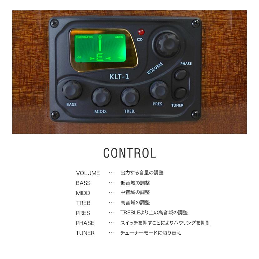 エレアコ Sepia Crue EAW-01 リミテッドアンプセット