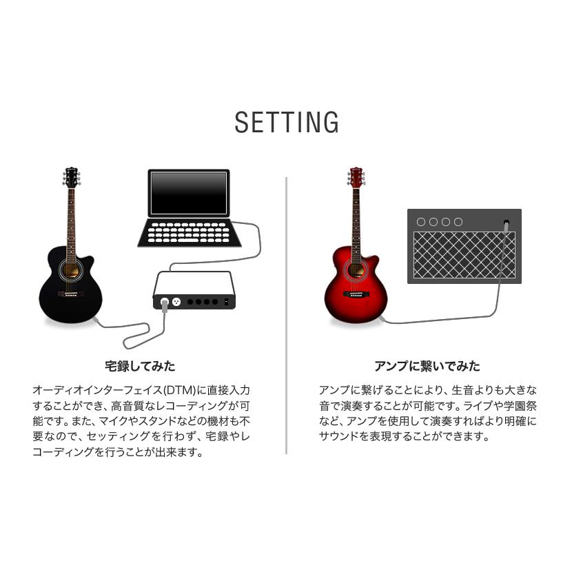 エレアコ Sepia Crue EAW-01 リミテッドアンプセット エレアコ Sepia Crue EAW-01 リミテッドアンプセット