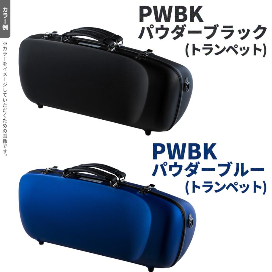 C.C.シャイニーケースII フルート CC2-FL〔CC Shiny Case CCシャイニー