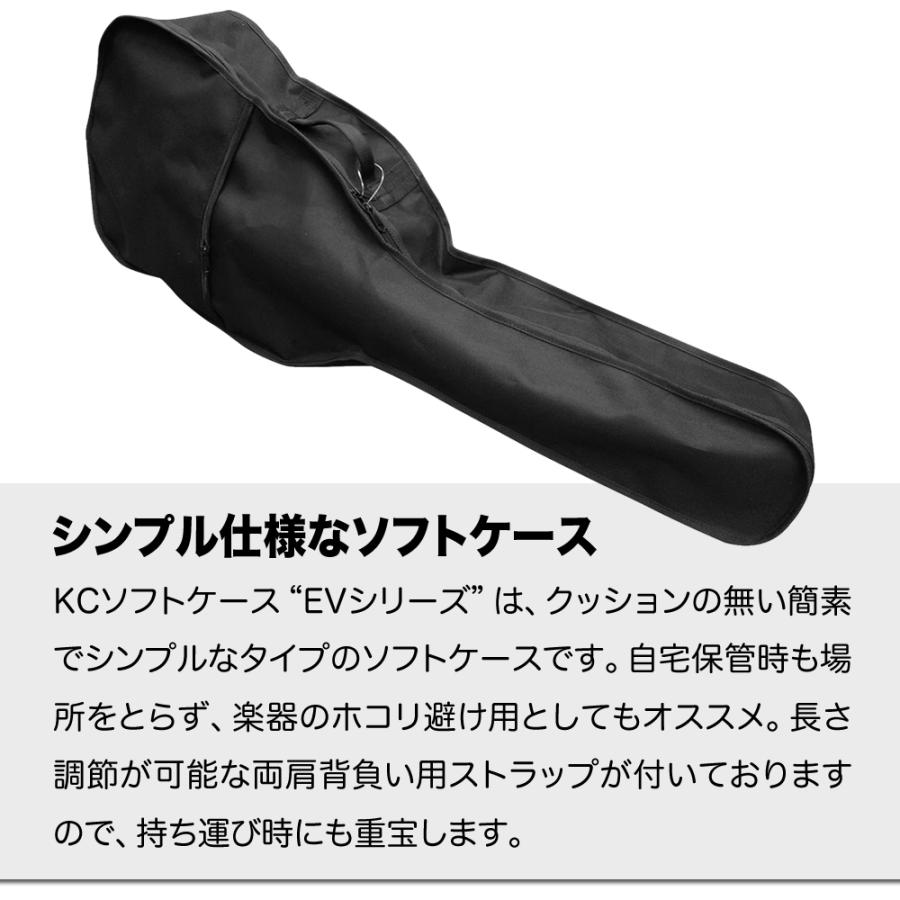 美品 NAGI GUITARS shiro アコースティックギター ソフトケース mqdefault.jpg