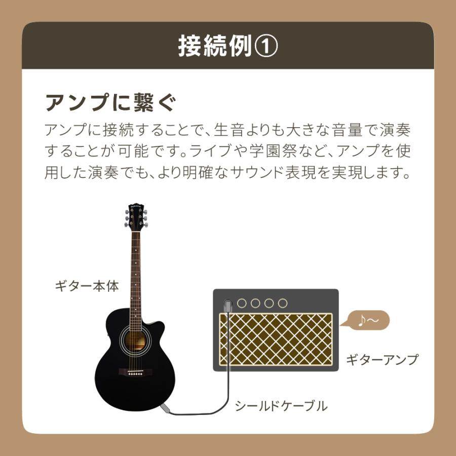 エレアコ Sepia Crue EAW-01 リミテッドセット〔アコースティック