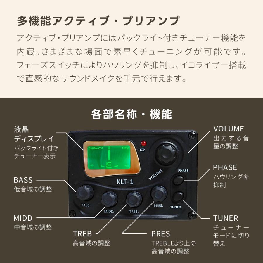 エレアコ Sepia Crue EAW-01 リミテッドセット〔アコースティック