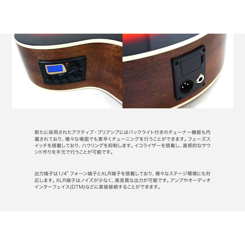 エレアコ Sepia Crue EAW-01 単品〔ソフトケース、シールドケーブル