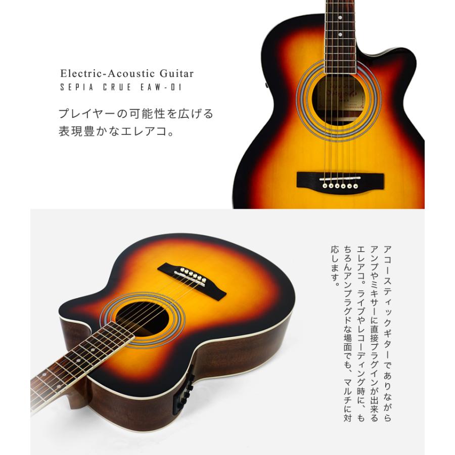 エレアコ 左利き用 Sepia Crue EAW-01LH/VS 単品〔ソフトケース