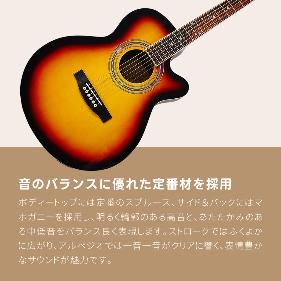 エレアコ 左利き用 Sepia Crue EAW-01LH/VS 単品〔ソフトケース