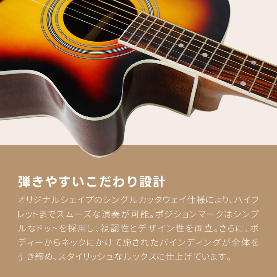 エレアコ 左利き用 Sepia Crue EAW-01LH/VS 単品〔ソフトケース