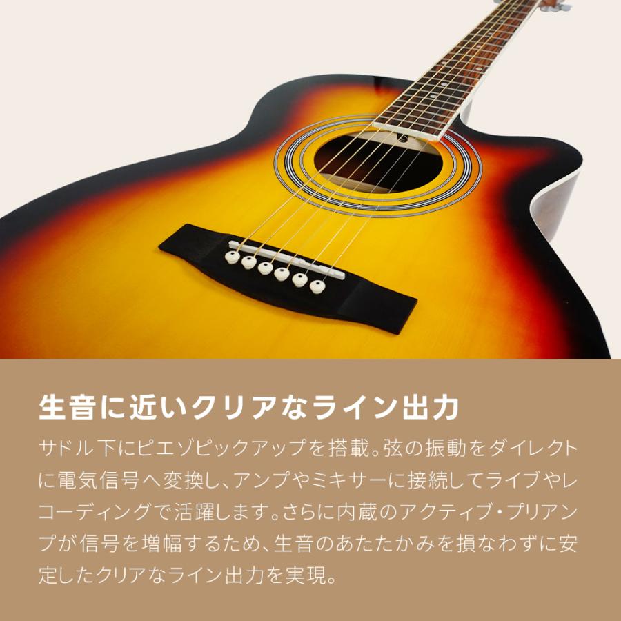 エレアコ 左利き用 Sepia Crue EAW-01LH/VS 単品〔ソフトケース