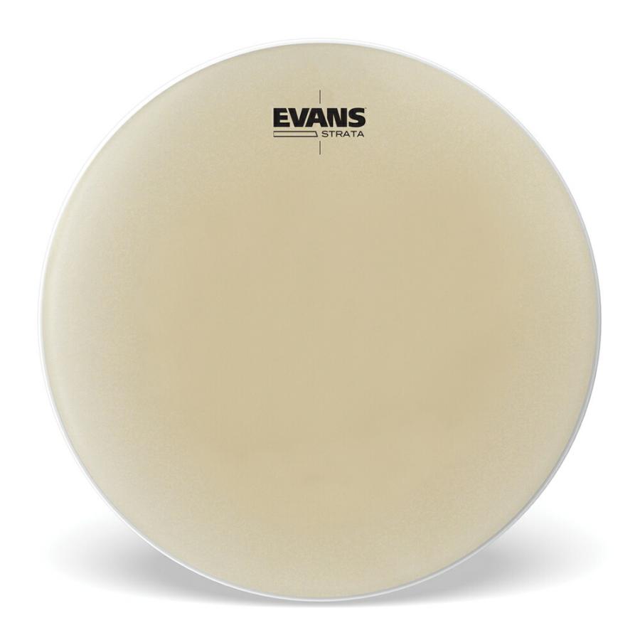 EVANS エヴァンス Strata ティンパニヘッド 31-1/2