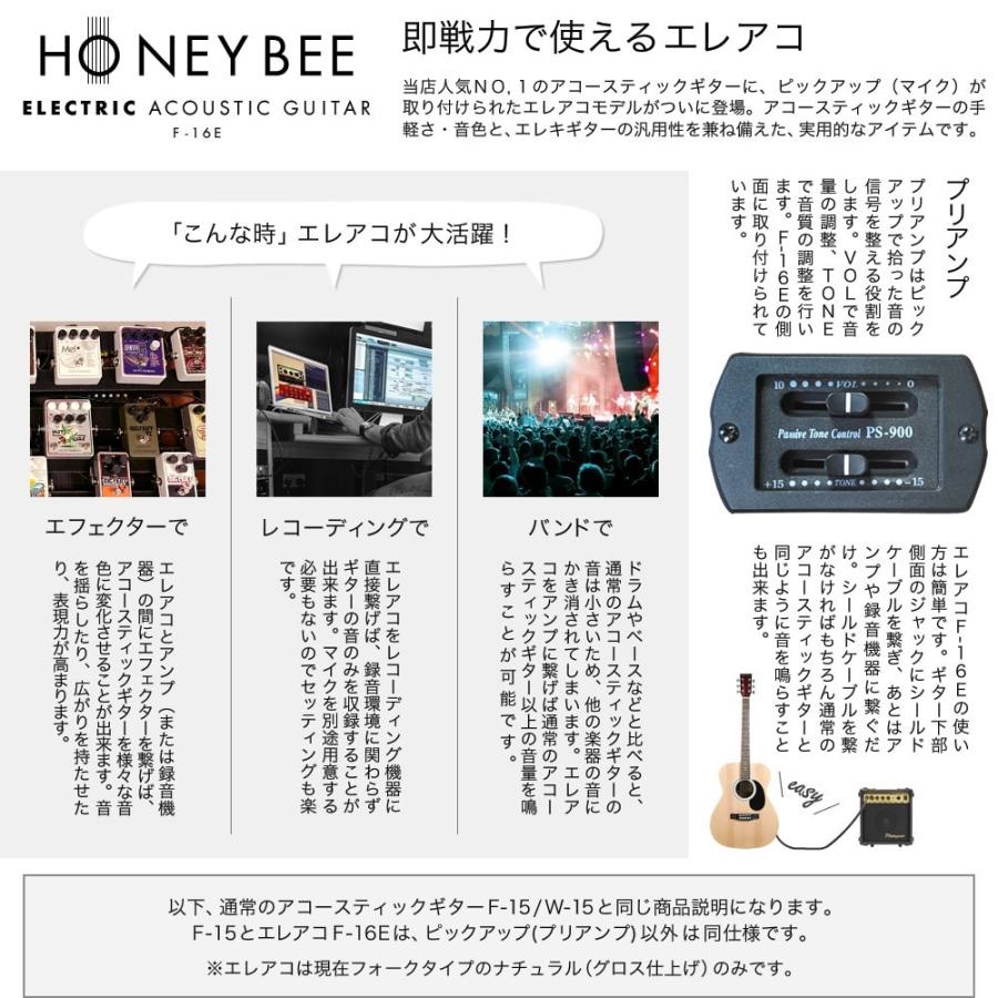 エレアコ HONEY BEE F-16E エレアコリミテッドセット〔大型荷物