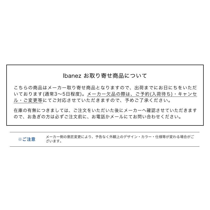 Ibanez（アイバニーズ） GIO Ibanez ジオアイバニーズ エレキギター