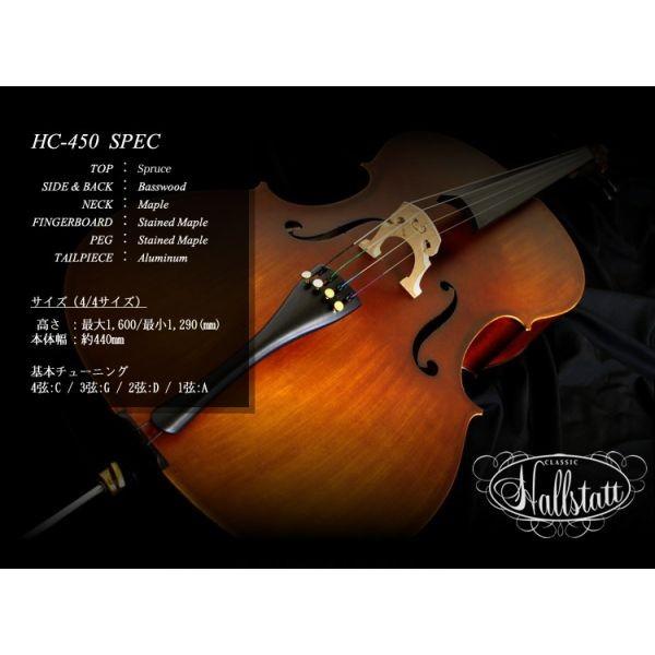 Hallstatt ハルシュタット チェロ HC-450 入門セット〔大型荷物 Hallstatt ハルシュタット チェロ HC-450 入門セット〔大型荷物