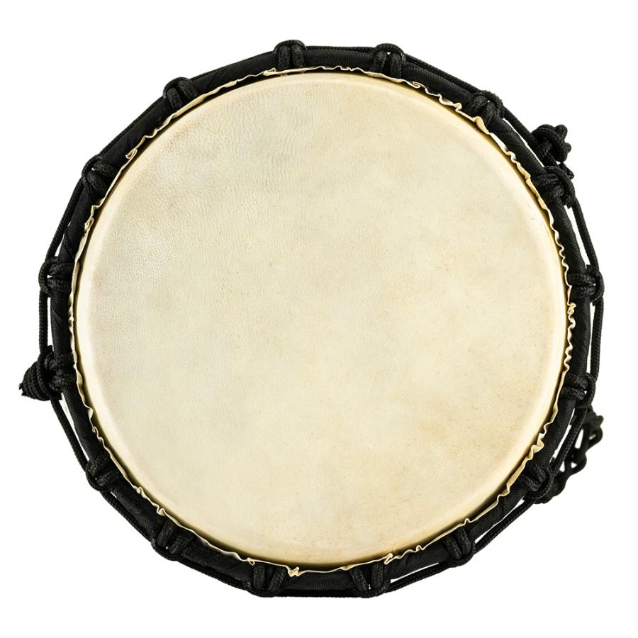 MEINL（マイネル） MEINL Percussion ジャンベ Congo Series 直径8