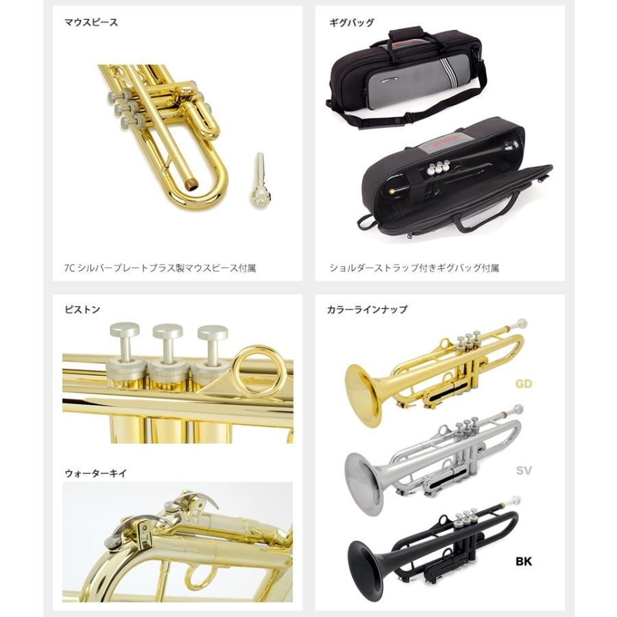 今だけエントリーでpaypayボーナス 10 Ptrumpet Hytech ピートランペット ハイテック 入門セット プラスティック製 Pinstruments プラスチック Hytech Set 初心者 入門ギターのサクラ楽器 通販 Yahoo ショッピング