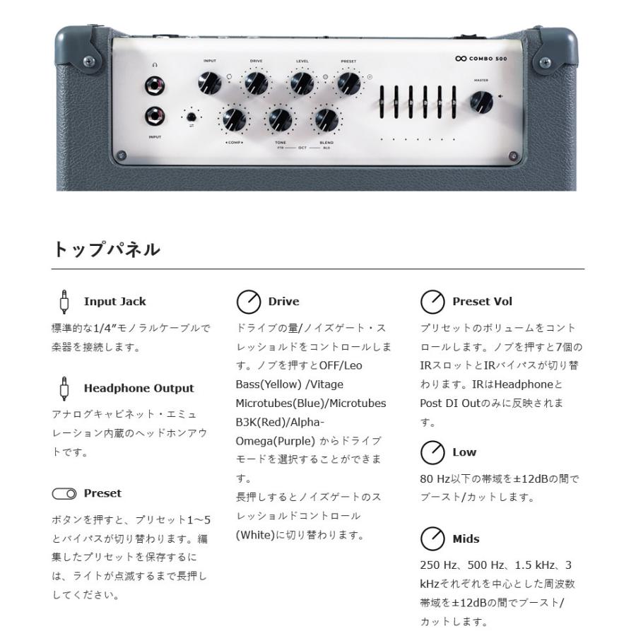 Darkglass Electronics ベースアンプ コンボ Infinity 500 Combo 210 DG210D〔BASS AMP ダークグラスエレクトロニクス 〕＊_2
