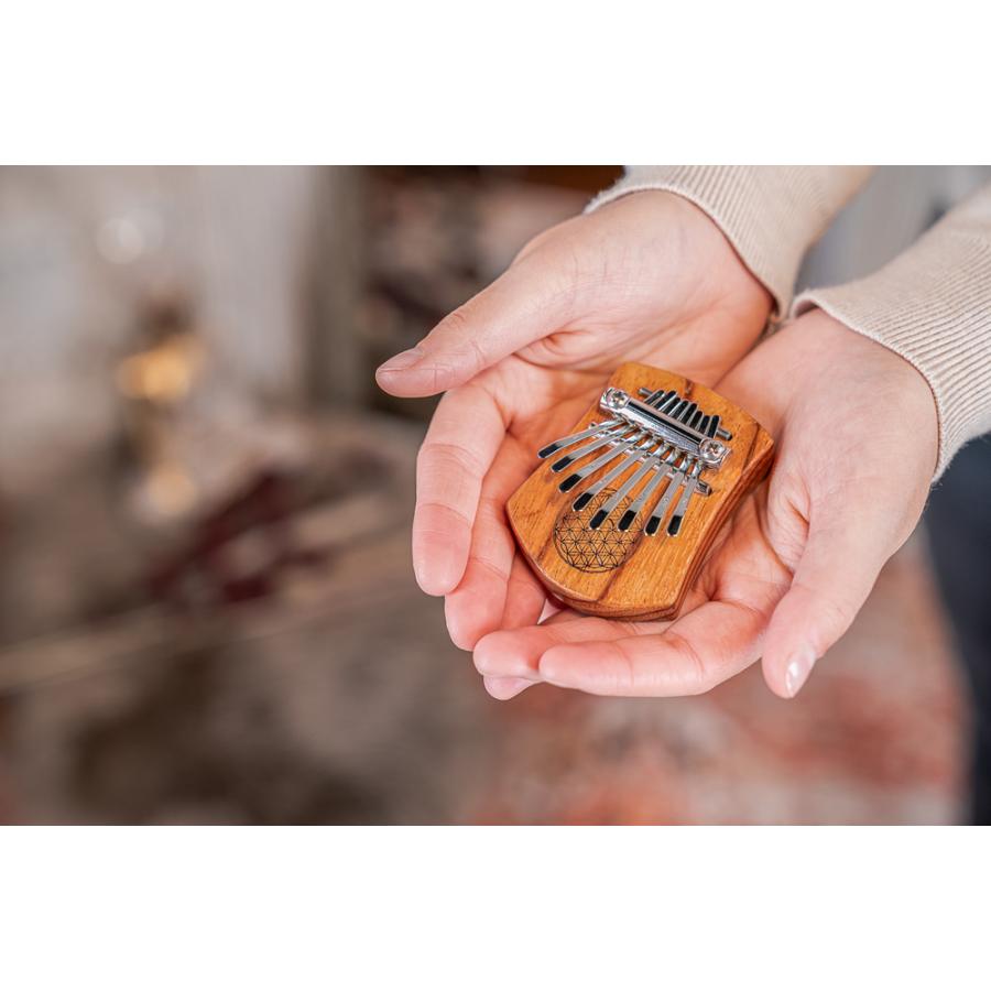 MEINL Sonic Energy ミニカリンバ 8音 KL802FOL【マイネル ソニックエナジー MINI KALIMBA ゆびピアノ サムピアノ 親指ピアノ】|サクラ楽器 |08