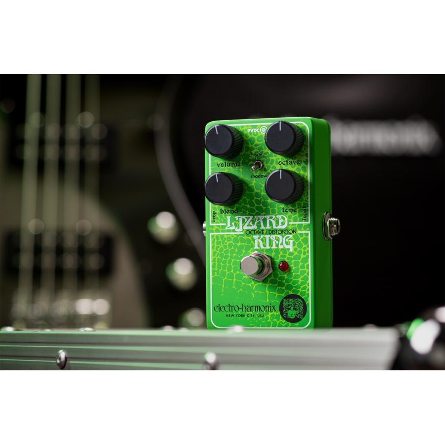 今だけピック10枚セット付き』LIZARD KING 〔リザードキング〕 ベース