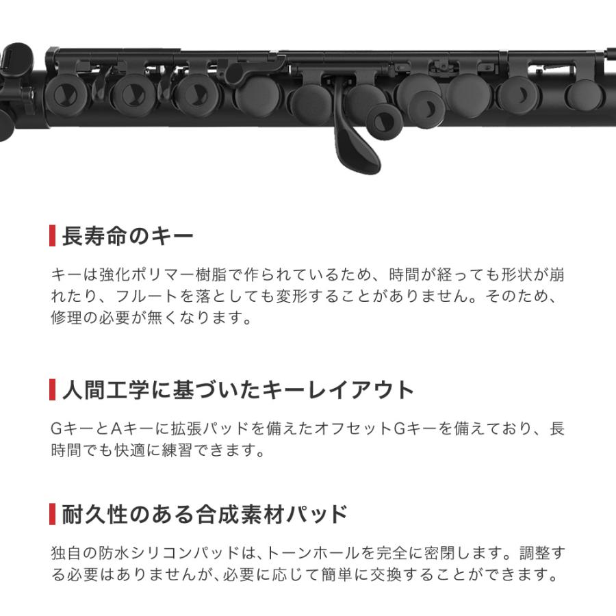 NUVO Band　フルート　値下げ交渉可能 楽天市場】Nuvo プラスチック製フルート スチューデントフルート