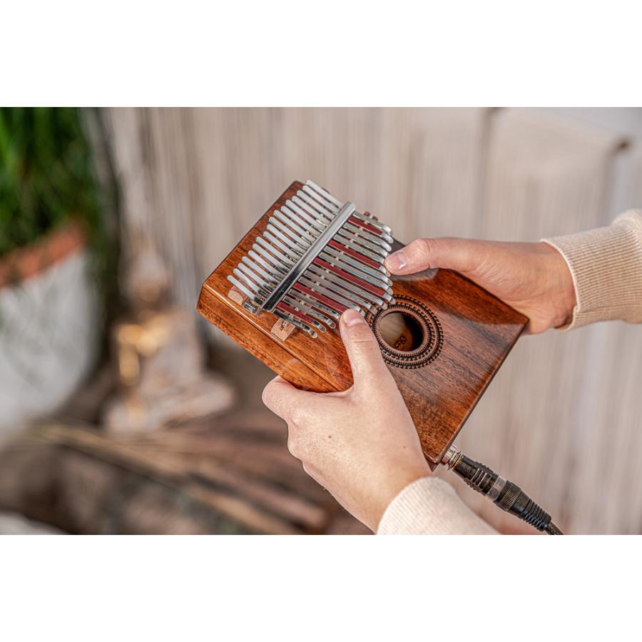 MEINL Sonic Energy サウンドホール・ピックアップ・カリンバ 17音 PKL1707H〔マイネル ソニックエナジー SOUND HOLE PICKUP KALIMBAS エレキカリンバ〕_6