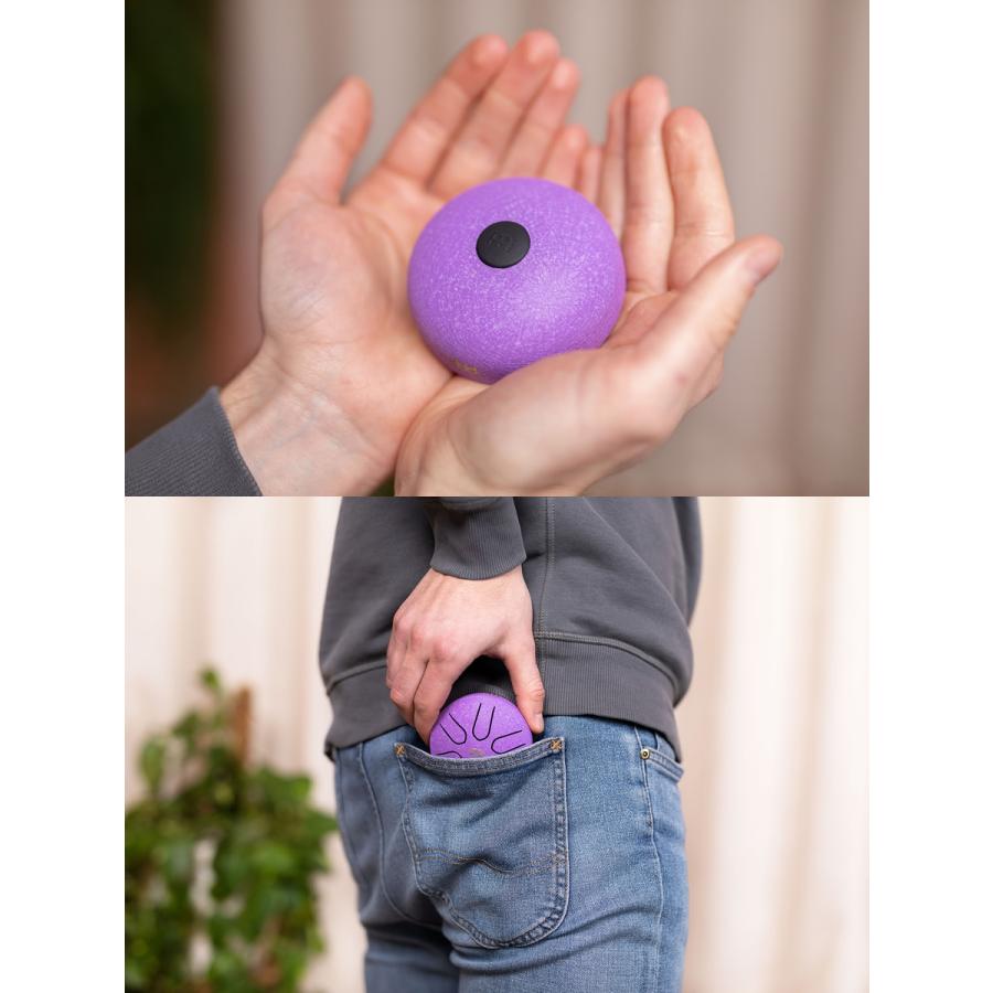 MEINL Sonic Energy ポケット・スチール・タングドラム PSTD Series (A