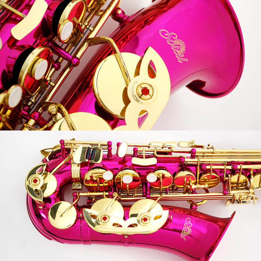 Soleil アルトサックス SAL-1 単品〔専用ケース、その他付属品 Soleil アルトサックス SAL-1 単品〔専用ケース、その他付属品