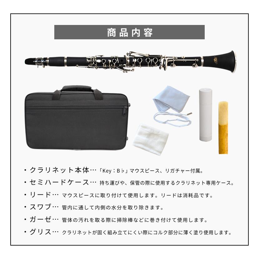 Soleil クラリネット SCL-1〔B♭〕単品〔専用ケース、その他付属 Soleil クラリネット SCL-1〔B♭〕単品〔専用ケース、その他付属