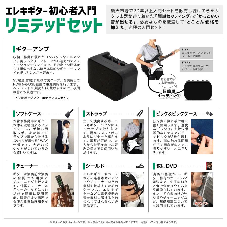 エレキギター ブラックマット仕様 SELDER STC-04 リミテッド エレキギター ブラックマット仕様 SELDER STC-04 リミテッド