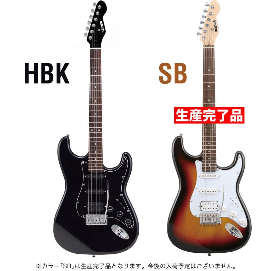 SELDER エレキギター ハムバッカー搭載 STH-20 入門13点セット SELDER エレキギター ハムバッカー搭載 STH-20 入門13点セット