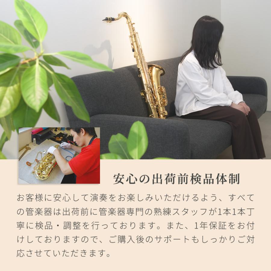 Soleil テナーサックス STN-1 単品〔セミハードケース、その他付属品付き〕〔ソレイユ STN1 金管楽器〕の画像