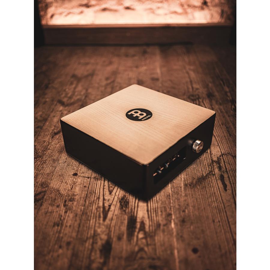 MEINL Percussion ピックアップ・カホンスネア TMPPCS〔マイネル