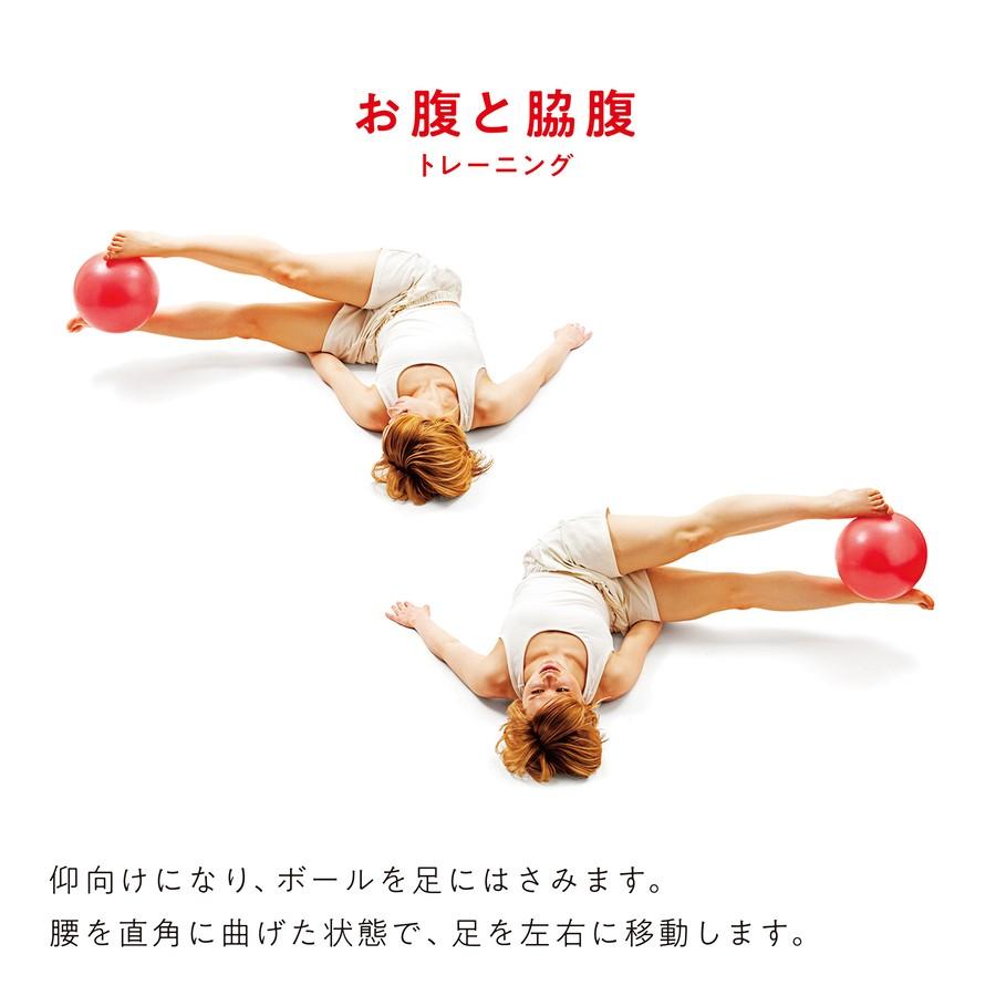 あすつく Sakurai Erugam ジムボール バランスボール 腹筋 背筋 全身運動 体幹 筋トレ エクササイズ フィットネス トレーニング ジム ダイエット腹筋たま サクライ貿易 Yahoo 店 通販 Yahoo ショッピング