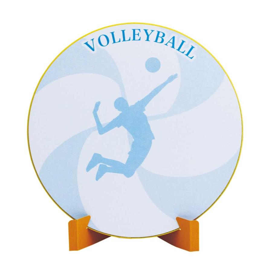Enjoyfamily エンジョイファミリー 色紙 バレーボール バレー 卒団 卒業 寄せ書き 記念品 転校 封筒 紙製スタンド付き イラスト入り Sk 004 Sk 004 サクライ貿易 Yahoo 店 通販 Yahoo ショッピング