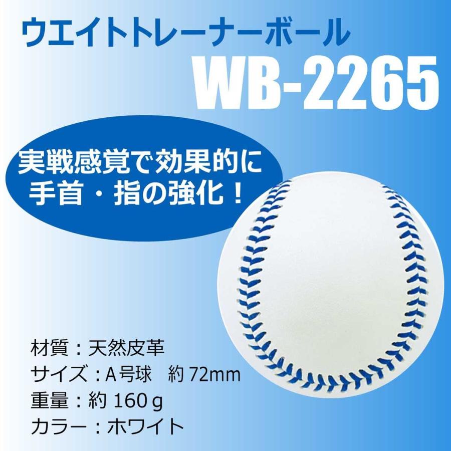 シャドーピッチトレーナー 立花龍司 通販 PROMARK プロマーク 立花龍司コラボ商品!! シャドーピッチング リング タオル 投球練習 ピッチング練習 シャドーピッチリング TPT0473