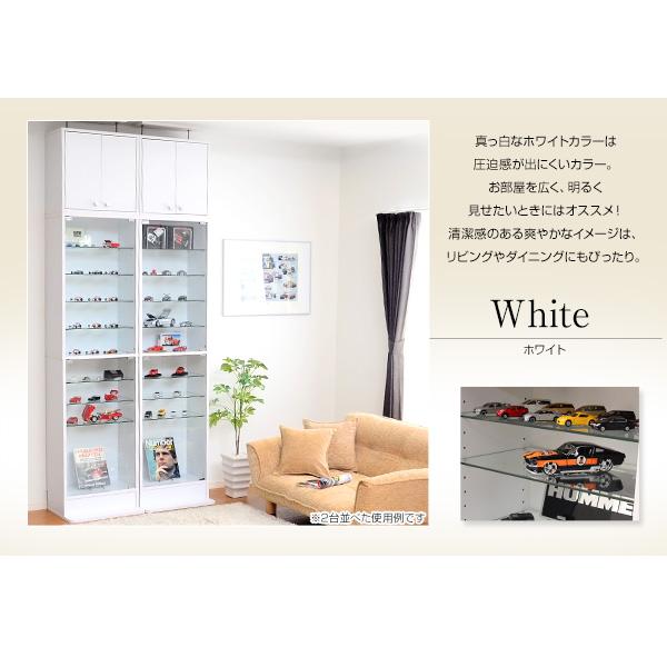 コレクションラックロータイプ深型DBR/WH