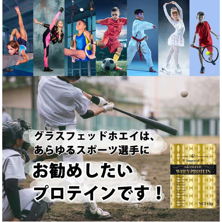 グラスフェッドプロテイン100% チョコレート 無添加 1kg 男性 女性 国産 国内製造 たんぱく質 筋トレ 飲みやすい インペリアルホエイ FIGHT CLUB｜sakuraienterprise｜15