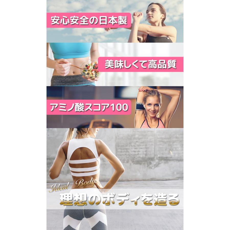 ホエイプロテイン 1kg 安い 美味しい ダブルリッチバニラ味 国産 ホエイプロテイン 1kg 安い 美味しい ダブルリッチバニラ味 国産