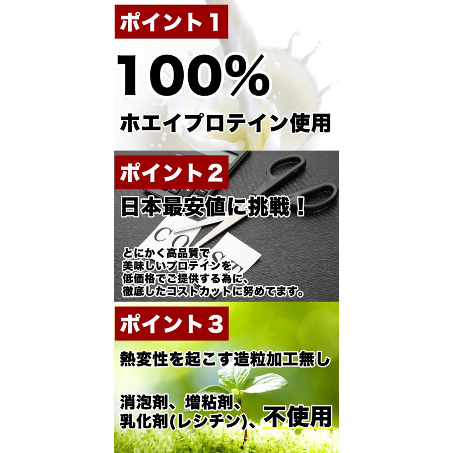 ホエイプロテイン 3kg 安い 美味しい 濃い抹茶味 国産 無添加 筋トレ トレーニング ダイエット 学生 女性 テイスティホエイ 抹茶 JAPAN NUTRITION 送料無料｜sakuraienterprise｜09