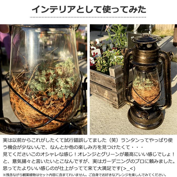ランタン アンティーク オイルランタン ハリケーンランタン ランタン アンティーク オイルランタン ハリケーンランタン