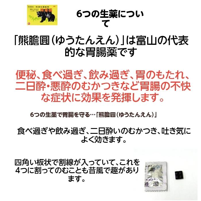 熊膽圓（ゆうたんえん）【第３類医薬品】熊の胆　富山　配置薬　置き薬　６包　第一薬品工業　熊　｜sakuraiyakuhin-store｜02