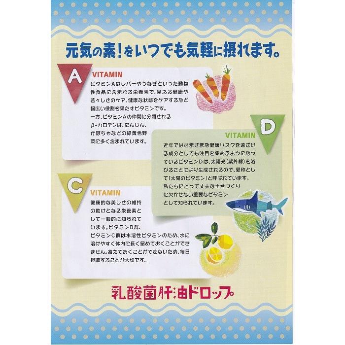 乳酸菌肝油ドロップ 120粒 2個セットビタミンA ビタミンD ビタミンC