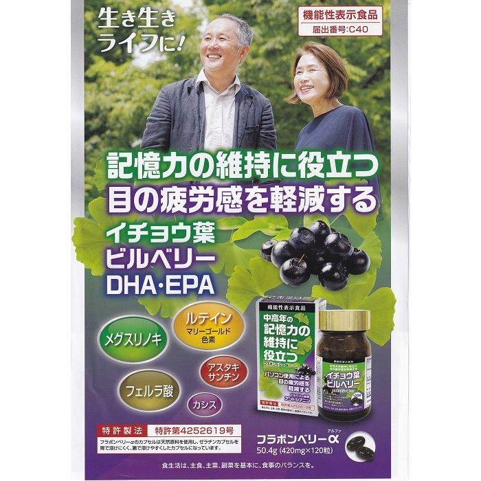 機能性食品 フラボンベリー 記憶力の維持 目の疲労感 イチョウ葉 