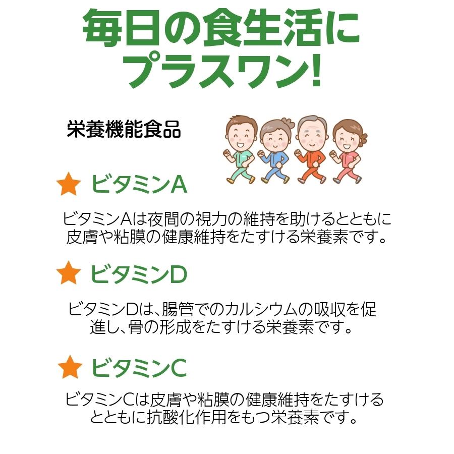 木俣滋彦「江ノ島・富士」油彩画 風景 鎌倉 額付 本人サイン入 25.11.28