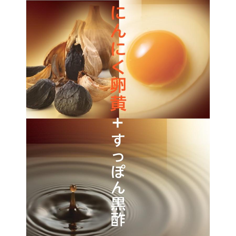 すっぽん黒酢+にんにく卵黄 120粒 スッポン 黒酢 にんにく 卵黄油 送料