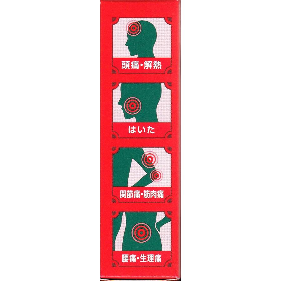 指定第2類医薬品】みみず一風散 アセトアミノフェン 地竜エキス