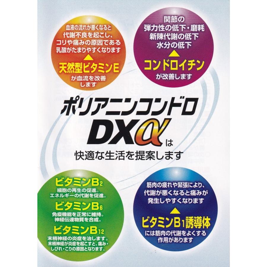 肩こり 腰痛 神経痛 関節痛 ポリアニンコンドロDXα 160カプセル 3個
