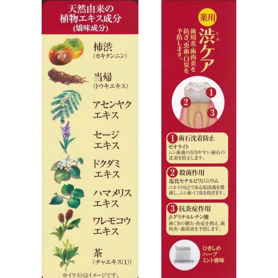 薬用 渋ケア 歯肉炎予防 歯周炎予防 歯石の沈着 口臭 ひきしめ ハーブミント 柿渋 当帰 6種の植物 医薬部外品 常盤薬品工業 薬用 S003 さくら医薬品ストア 通販 Yahoo ショッピング