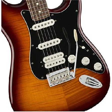 売上倍増 Fender エレキギター Player Stratocaster(R) HSS Plus Top， Pau Ferro Fingerboard， Tobacco Sunburst