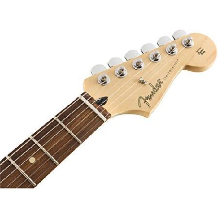 売上倍増 Fender エレキギター Player Stratocaster(R) HSS Plus Top， Pau Ferro Fingerboard， Tobacco Sunburst