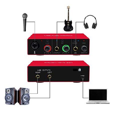 かわいい！ LVY 2In-2Out USB Audio Interface (Resolution 24Bit/96kHz) 48V Phantom Power for Recording Podcasting and Streaming